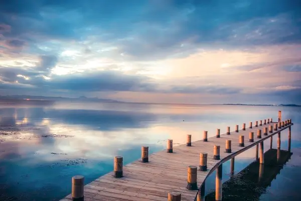 烤箱美食懒人做法