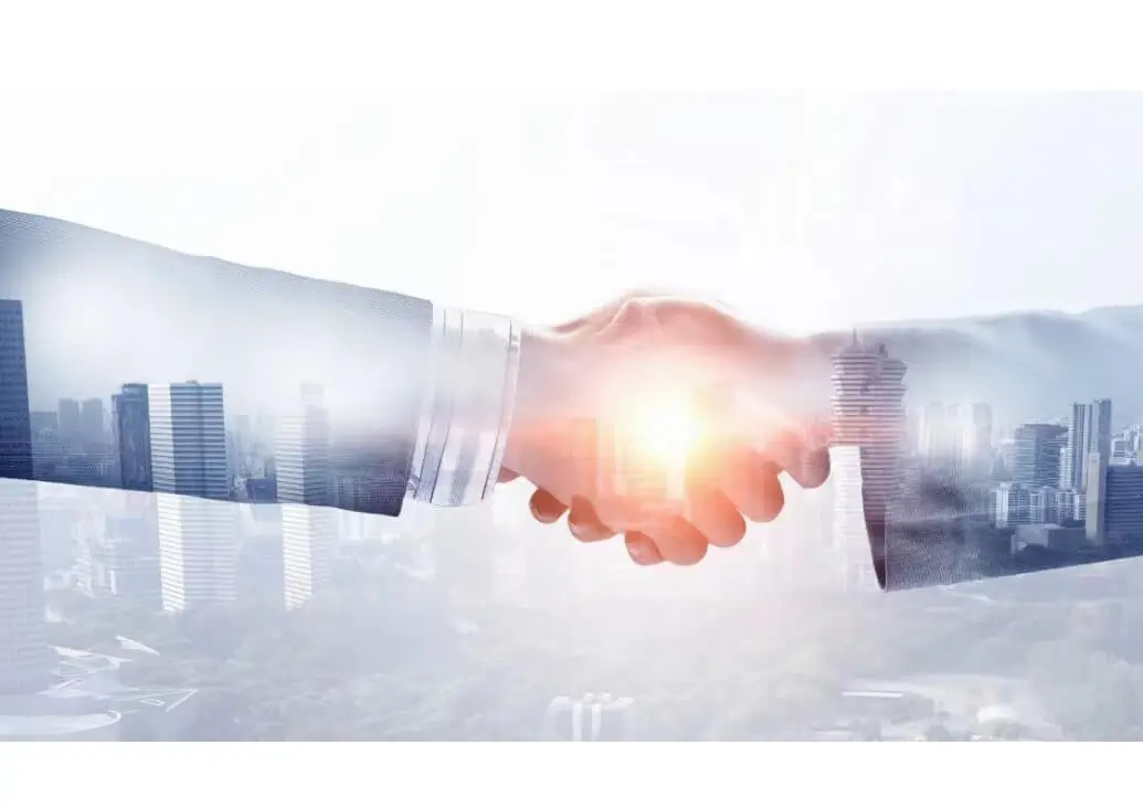 美食包头菜做法