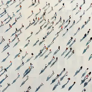 亚麻籽粉哪个牌子好